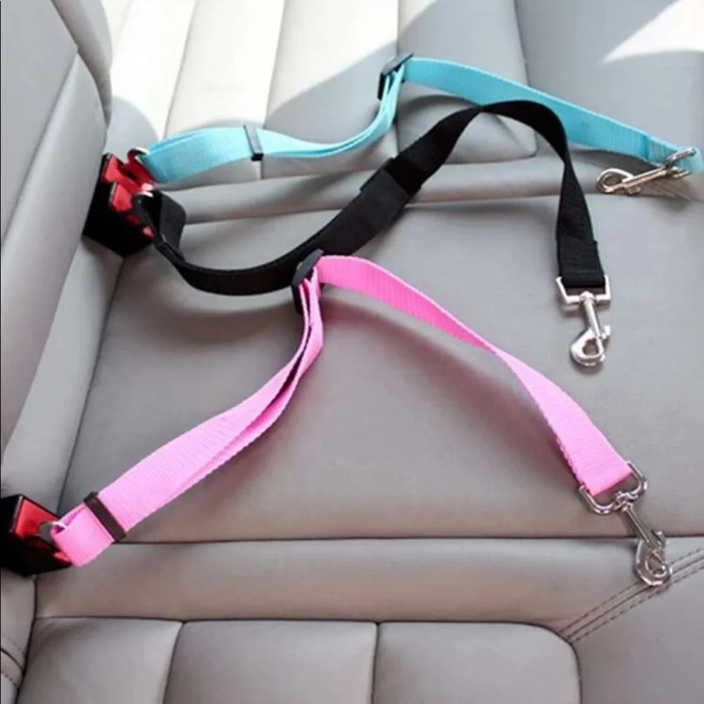 PET SEATBELT